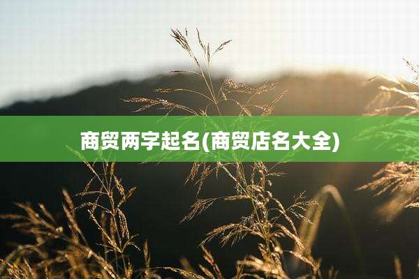 商贸两字起名(商贸店名大全)