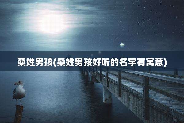 桑姓男孩(桑姓男孩好听的名字有寓意)