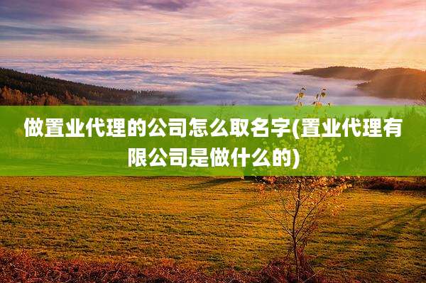 做置业代理的公司怎么取名字(置业代理有限公司是做什么的)