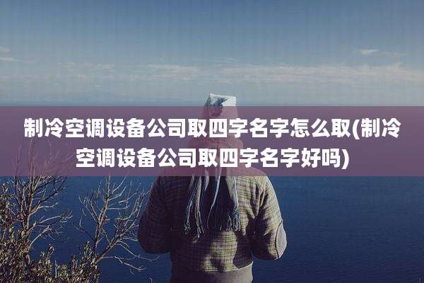 制冷空调设备公司取四字名字怎么取(制冷空调设备公司取四字名字好吗)