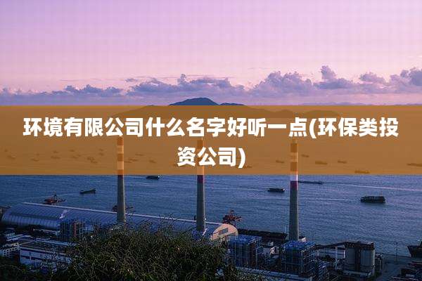 环境有限公司什么名字好听一点(环保类投资公司)