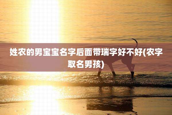 姓农的男宝宝名字后面带瑞字好不好(农字取名男孩)