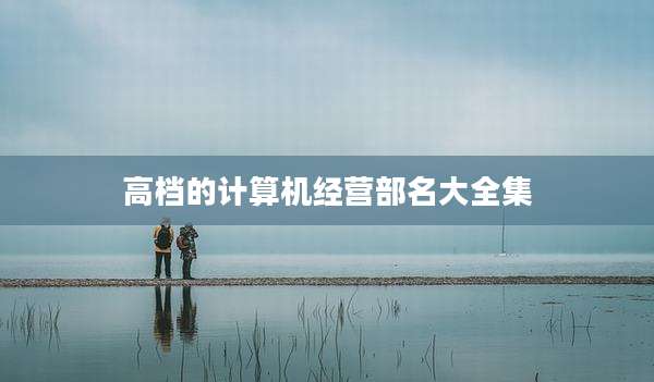 高档的计算机经营部名大全集