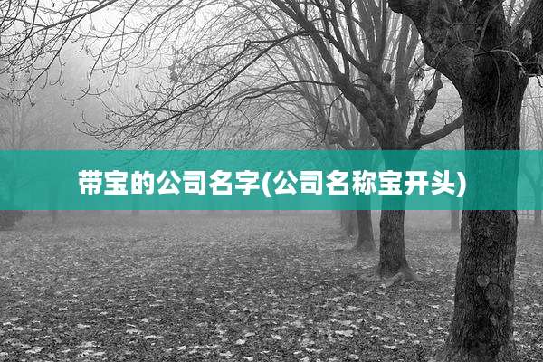 带宝的公司名字(公司名称宝开头)