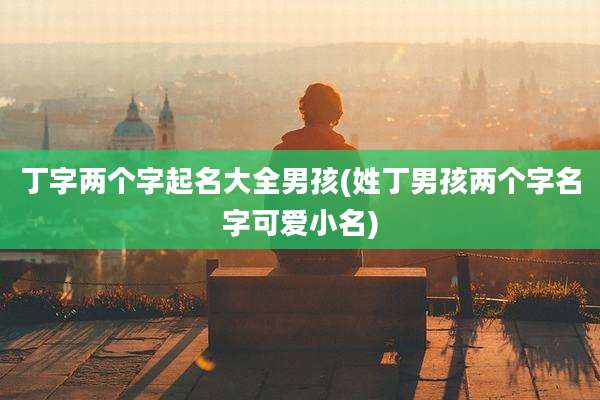 丁字两个字起名大全男孩(姓丁男孩两个字名字可爱小名)