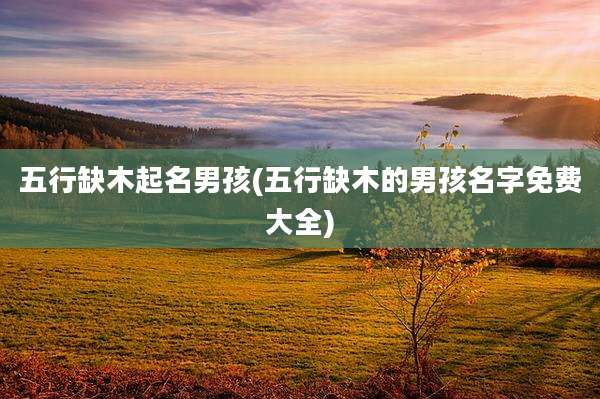 五行缺木起名男孩(五行缺木的男孩名字免费大全)