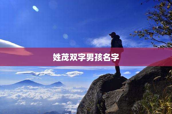 姓茂双字男孩名字