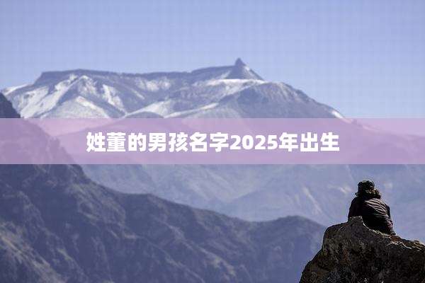 姓董的男孩名字2025年出生