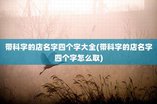 带科字的店名字四个字大全(带科字的店名字四个字怎么取)