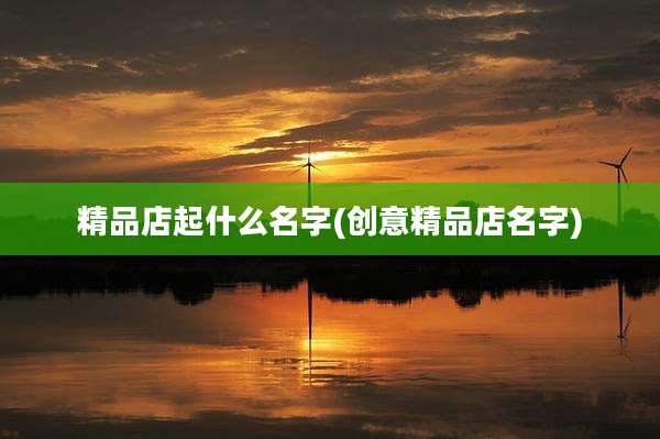 精品店起什么名字(创意精品店名字)