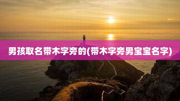 男孩取名带木字旁的(带木字旁男宝宝名字)