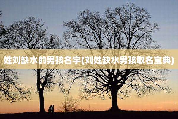 姓刘缺水的男孩名字(刘姓缺水男孩取名宝典)