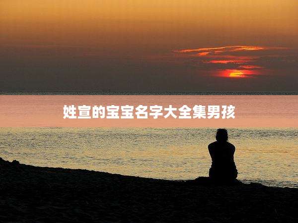 姓宣的宝宝名字大全集男孩