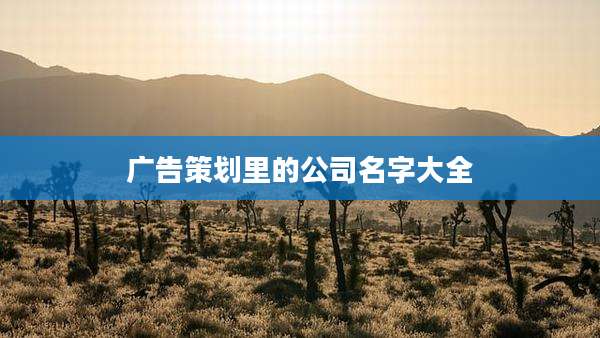 广告策划里的公司名字大全