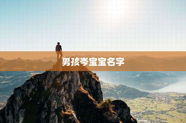 男孩岑宝宝名字