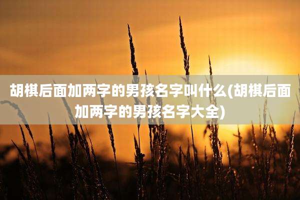 胡棋后面加两字的男孩名字叫什么(胡棋后面加两字的男孩名字大全)