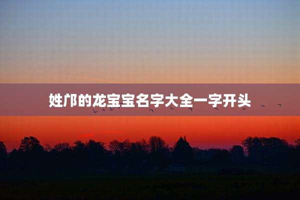 姓邝的龙宝宝名字大全一字开头