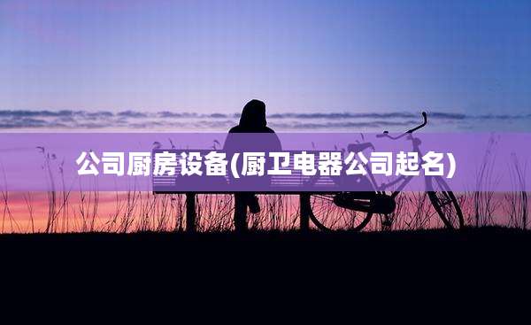 公司厨房设备(厨卫电器公司起名)