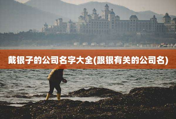 戴银子的公司名字大全(跟银有关的公司名)