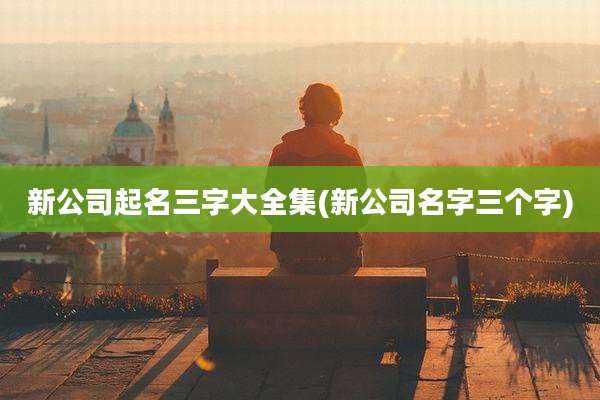 新公司起名三字大全集(新公司名字三个字)