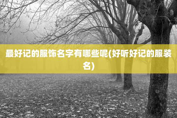 最好记的服饰名字有哪些呢(好听好记的服装名)