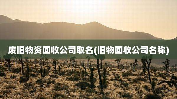 废旧物资回收公司取名(旧物回收公司名称)