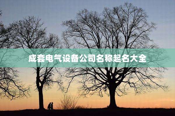 成套电气设备公司名称起名大全