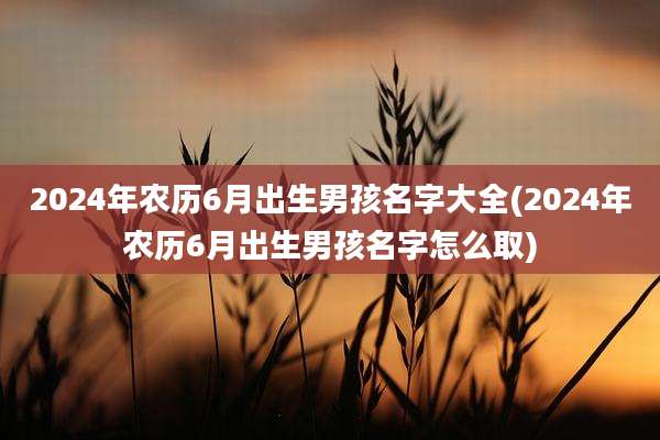 2024年农历6月出生男孩名字大全(2024年农历6月出生男孩名字怎么取)