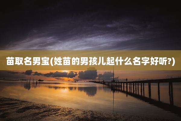 苗取名男宝(姓苗的男孩儿起什么名字好听?)