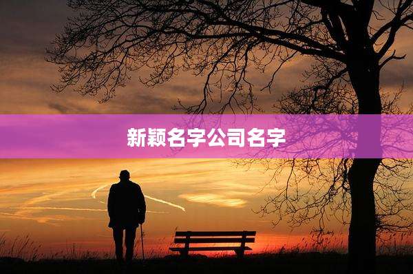 新颖名字公司名字