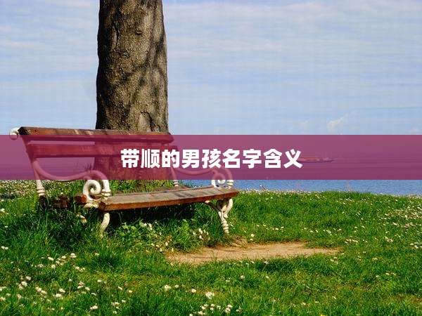 带顺的男孩名字含义