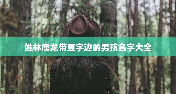 姓林属龙带豆字边的男孩名字大全