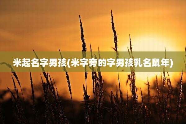 米起名字男孩(米字旁的字男孩乳名鼠年)