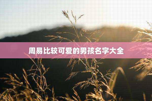 周易比较可爱的男孩名字大全