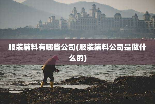 服装辅料有哪些公司(服装辅料公司是做什么的)