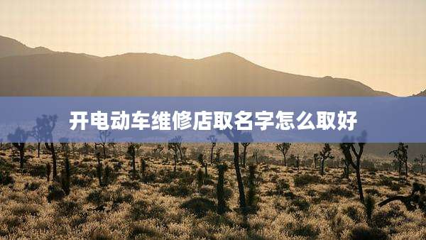 开电动车维修店取名字怎么取好