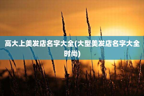 高大上美发店名字大全(大型美发店名字大全时尚)