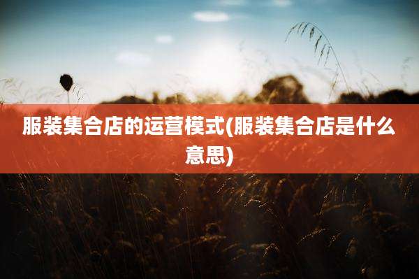 服装集合店的运营模式(服装集合店是什么意思)