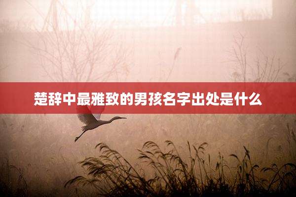 楚辞中最雅致的男孩名字出处是什么