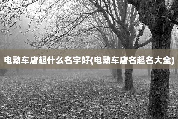 电动车店起什么名字好(电动车店名起名大全)