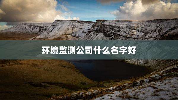 环境监测公司什么名字好