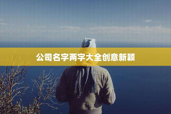公司名字两字大全创意新颖