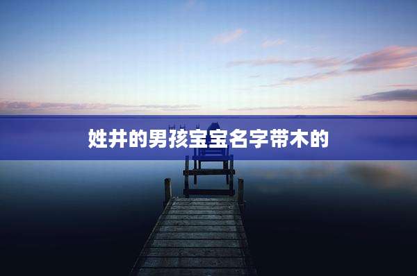 姓井的男孩宝宝名字带木的