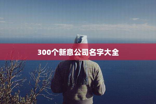 300个新意公司名字大全