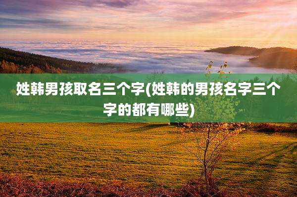 姓韩男孩取名三个字(姓韩的男孩名字三个字的都有哪些)