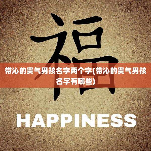 带沁的贵气男孩名字两个字(带沁的贵气男孩名字有哪些)