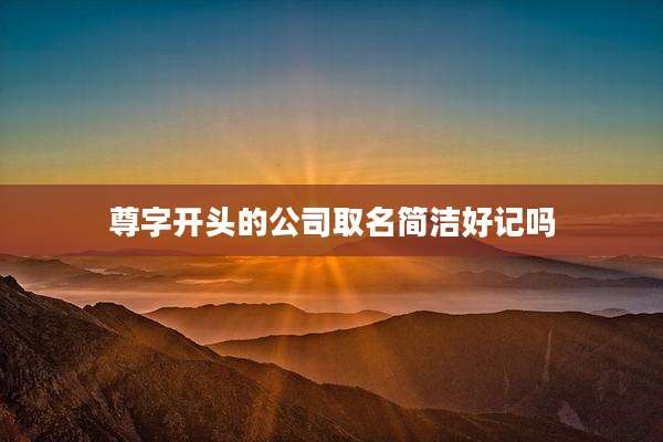 尊字开头的公司取名简洁好记吗
