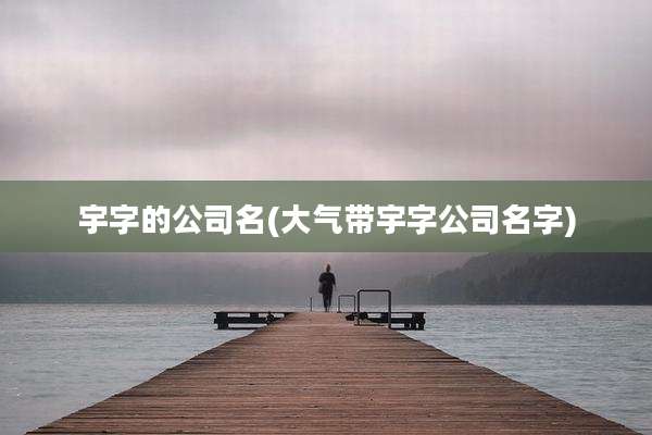 宇字的公司名(大气带宇字公司名字)