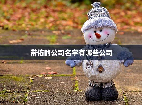带佑的公司名字有哪些公司