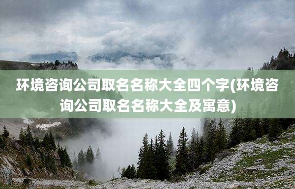 环境咨询公司取名名称大全四个字(环境咨询公司取名名称大全及寓意)
